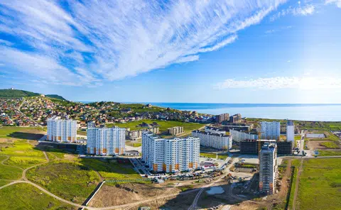 Горгиппия Морская