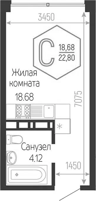 Планировка Студии