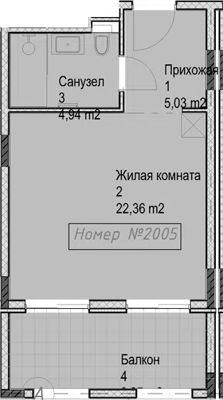 Планировка Студии
