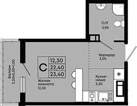 Планировка Студии