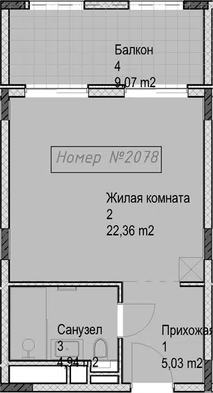 Планировка Студии