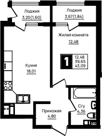 Планировка 1-к.кв