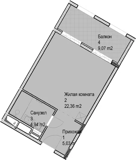 Планировка Студии