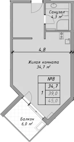 Планировка Студии