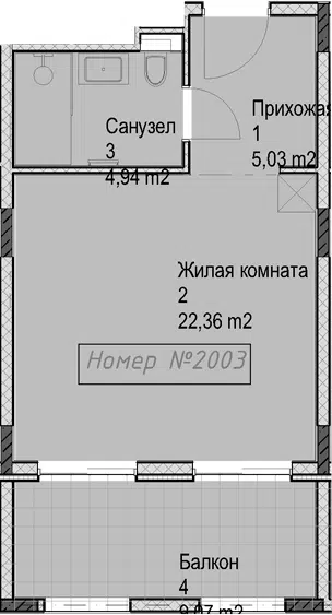 Планировка Студии