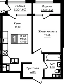 Планировка 1-к.кв