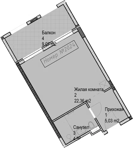 Планировка Студии