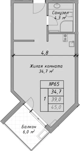 Планировка Студии
