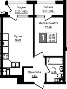 Планировка 1-к.кв