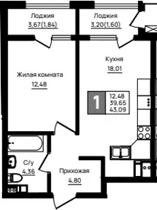 Планировка 1-к.кв